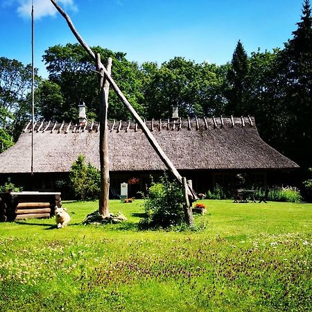 Hotel Kotka Farm Saarekula Exteriér fotografie