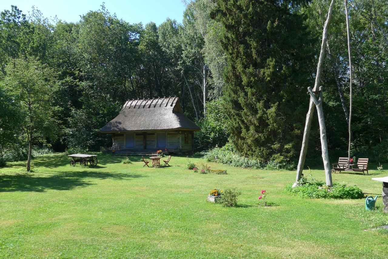 Hotel Kotka Farm Saarekula Exteriér fotografie
