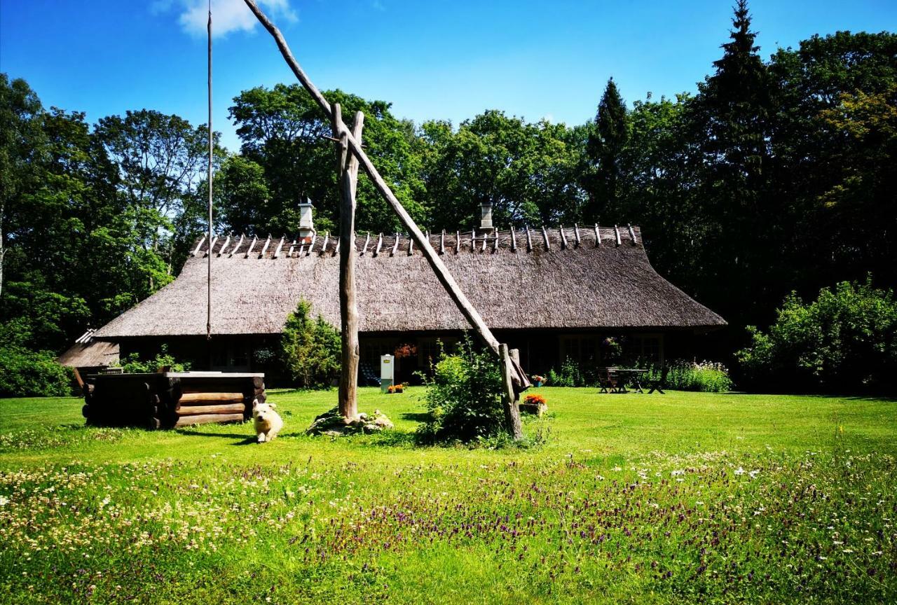 Hotel Kotka Farm Saarekula Exteriér fotografie